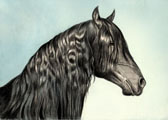Friesian, Equine Art - Courage (Friesian)